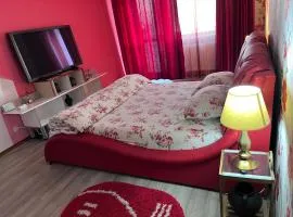 Ultracentral zona zero apartament