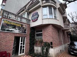 Хотел Милениум，位于扬博尔的酒店