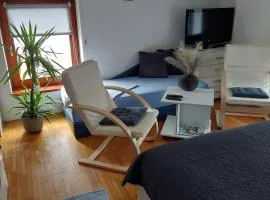 Apartments Bikica