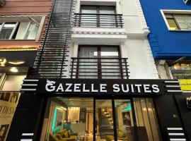 gazelle suites，位于伊斯坦布尔塔克西姆的酒店