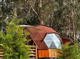 Glamping Shalom