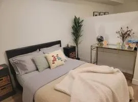 Amazing big studio near Balboa Park Jacuzzi rooftop free parking!