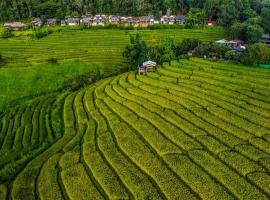 บ้านพักชิปู ป่าบงเปียง，位于Ban Mae Pan Noi的酒店