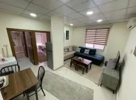 Apartment for rent 50M fully furnished -completely new