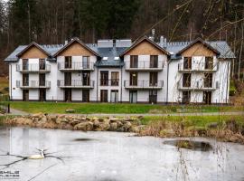 Apartamenty Nad Potokiem koło Karpacza，位于Staniszów的酒店