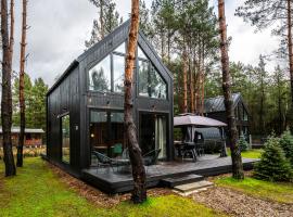 Heban Forest Cabin&SAUNA Starlink，位于Tomczyn的酒店