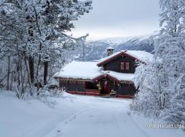 Large cabin with spectacular views in Geilo，位于耶卢的酒店