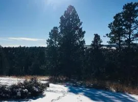 Priceless Black Hills View