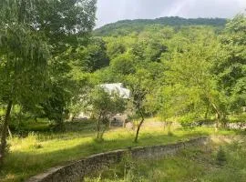 Buynuz Village