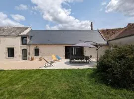 Gîte spacieux et rénové avec jardin, proche châteaux de la Loire, pour 10 pers. - FR-1-590-361