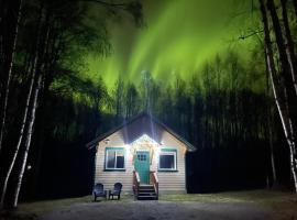 Talkeetna Mount Dall Cottage with WiFi&laundry，位于塔尔基特纳的酒店