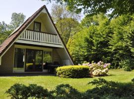 Summio Bungalowpark Het Hart van Drenthe，位于Zwiggelte的度假村