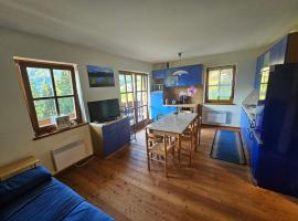 Top location ski-to-door two-bedroom apartment，位于Bach的酒店