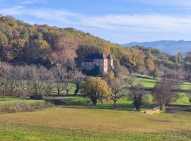 Manoir du Boscau, Gilles del Bosc，位于Prudhomat的公寓