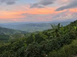 Itaca Hostel finca Cafetera