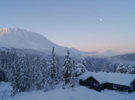 Stunning Home In Rjukan With Wifi，位于尤坎的乡村别墅