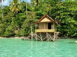 Efenli Arnes homestay