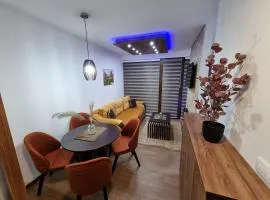 Borovi 2 Lux Apartment