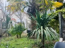 Appartement avec jardinet, fête interdite !