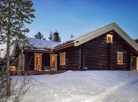 Awesome Home In Hemsedal With Kitchen，位于海姆瑟达尔的酒店