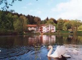 Hotel Am Schwanenteich，位于希尔德堡豪森的酒店