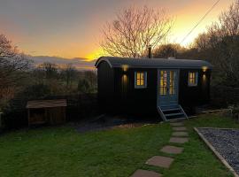 Modern Shepherd's Hut Retreat for 2, Dog Friendly，位于Llangoed的带按摩浴缸的酒店