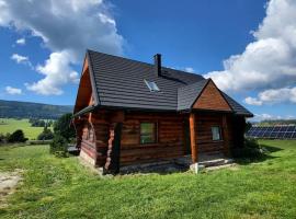 Komfortowy dom z bali koło Zieleńca z widokiem na góry，位于Lasowka的度假屋
