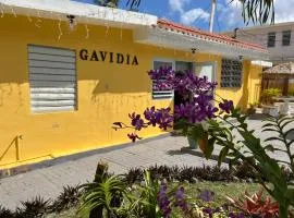 Gavidias Guest House