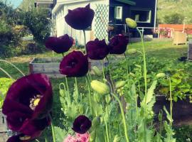 Valberg Gjestegård，位于Valberg的酒店