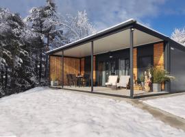 Apartma LeMa，位于Velike Lašče的酒店