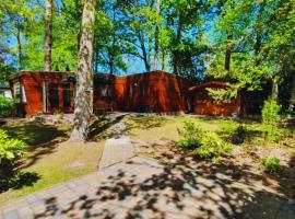 Wooden Nature Chalet - Dennenrhode Doornspijk，位于Doornspijk的木屋