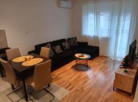 Apartman Pan，位于索科矿泉村的酒店