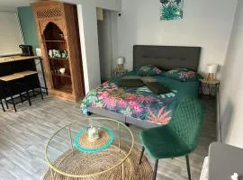 Studio indépendant avec jardin