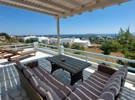 New Cycladic house ¨Agroktima Katerina¨