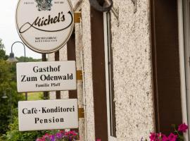 Gasthaus zum Odenwald，位于Schannenbach的旅馆