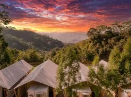 Grow Tree Glamping