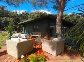 Mas Des Fleurs - Olive House，位于佩皮尼昂的酒店