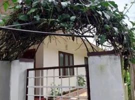 Nandini Nest Home Stay