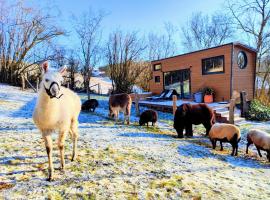 La mini maison du Lama，位于力宾的酒店