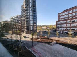 Studio apartment 10mins from Oslo Cent. station.，位于奥斯陆的公寓