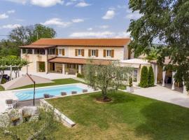 Villa Viscum in Central Istria for 8 persons with large garden - pet friendly，位于帕津的乡村别墅
