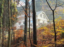Ruhepol in den Voralpen，位于Waldegg的酒店