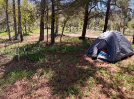 Camping don Zacarías，位于El Bolsico的豪华帐篷营地