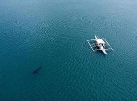 Dancalan Beach Resort，位于董索的酒店