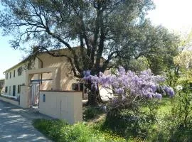 阿尔韦克奇奥雷切奥乡村民宿