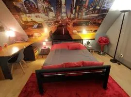 bel appartement 50 m2 aux portes de STRASBOURG de 1 à 5 personnes chez particuliers avec 2 sdb coin cuisine-repas et kitchinette Prix négociable pour 1 personne