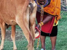 Nashipa homestay Maasai Mara