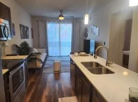 Luxury - Spacious 1BD 1BA with 4 Beds Located in Domain, Austin