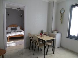 Apartament Bacha & Lia，位于梅斯蒂亚的酒店