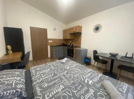 Černá Růže - Apartmán 7，位于比尔森的酒店